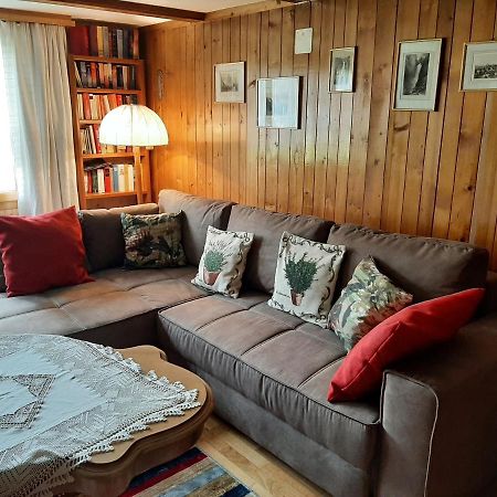 Chalet Am Fels Innertkirchen Kültér fotó