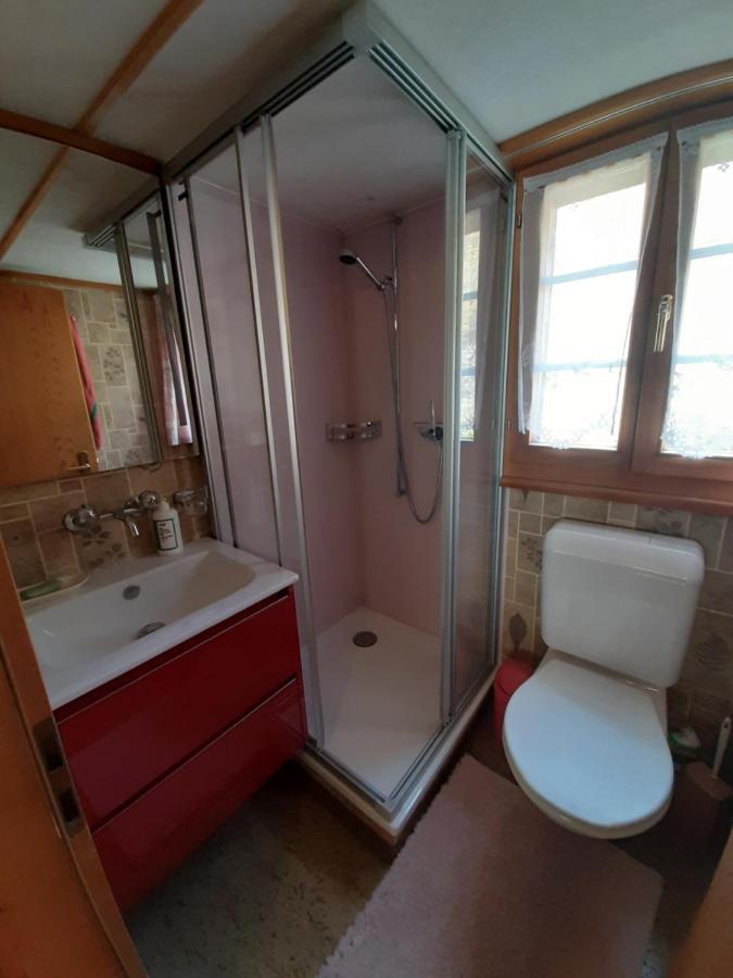 Chalet Am Fels Innertkirchen Kültér fotó